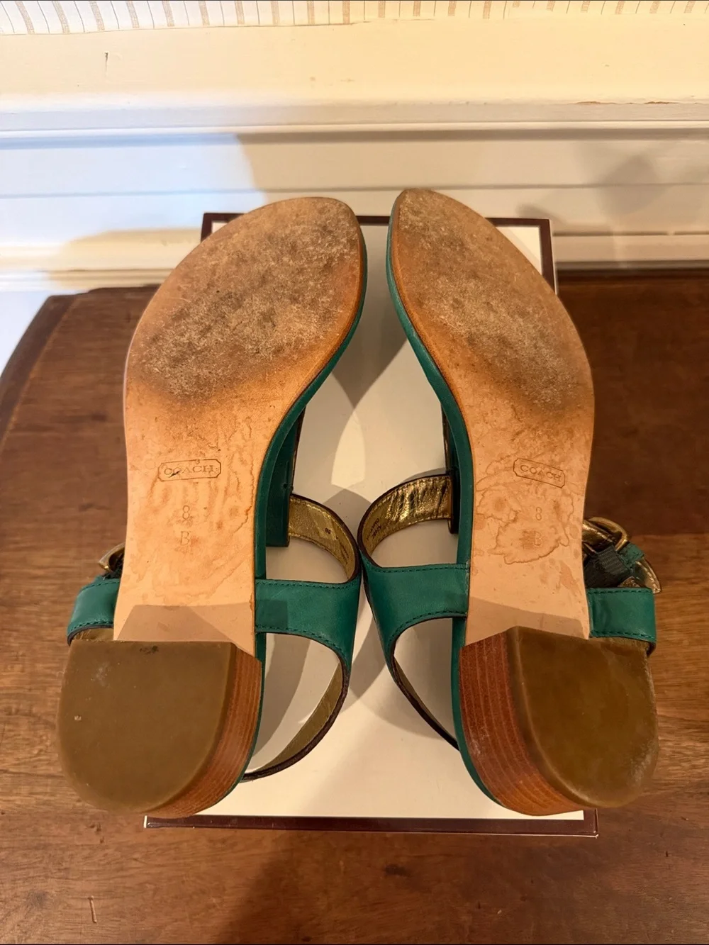 Coach Teal Leather Thong Sandals with Gold Accent and Low Stacked Heel
